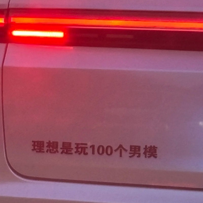 理想汽车不锈钢定制是玩100个男模等文字创意小红书爆火车尾标贴
