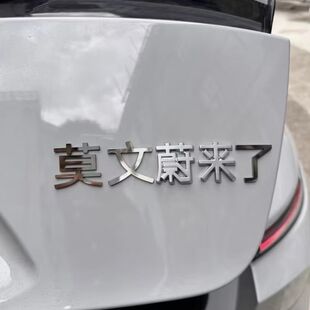适用于蔚来汽车不锈钢材质定制车尾标莫文蔚来了创意文字搞笑车标