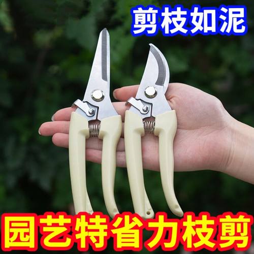 剪枝果树修枝剪刀园艺园林