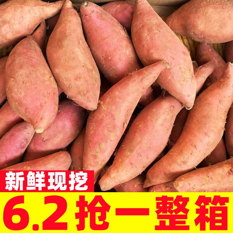 红心蜜薯10斤板栗红薯新鲜地瓜糖心番薯沙地农家自种山芋小香薯5
