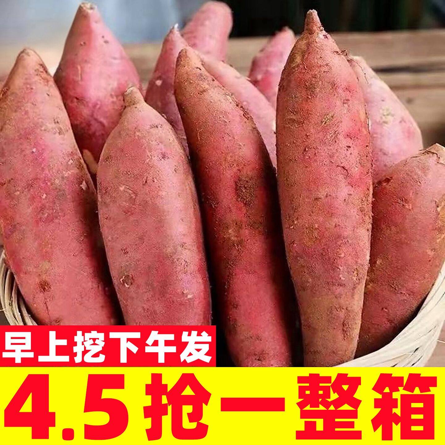 新鲜蜜薯10斤板栗红薯沙地糖心地瓜农家自种番薯现挖小香薯山芋5