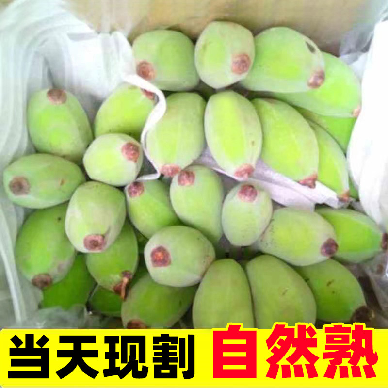 广西小米蕉新鲜水果包邮现摘小香芭蕉苹果蕉甜香蕉整箱自然熟批发