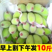 自然熟小米蕉廣西香蕉新鮮10斤應(yīng)當(dāng)季整箱水果包郵蘋果香焦小香蕉