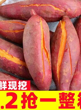 广西西瓜红蜜薯新鲜10斤板栗红薯农家自种红心地瓜糖心烤番薯蔬菜