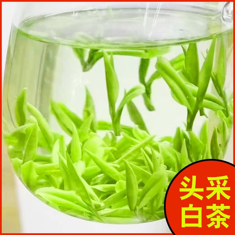 头采明前白茶茶叶2026年新茶绿茶春茶正宗浙江高山白茶