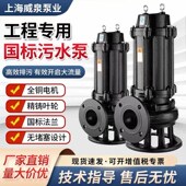 潜污泵WQ QW排污泵化粪池集水坑污水提升泵污水泵高流量大杨程