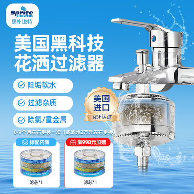 美国进口花洒过滤器除氯阻垢