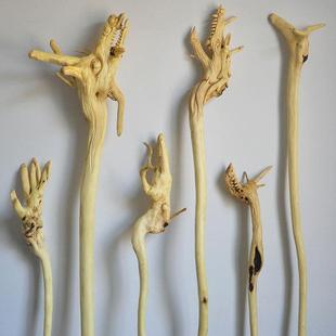 周瑞赞黄檀木雕【根艺拐杖 古风禅杖】中式家居摆件表演收藏手杖