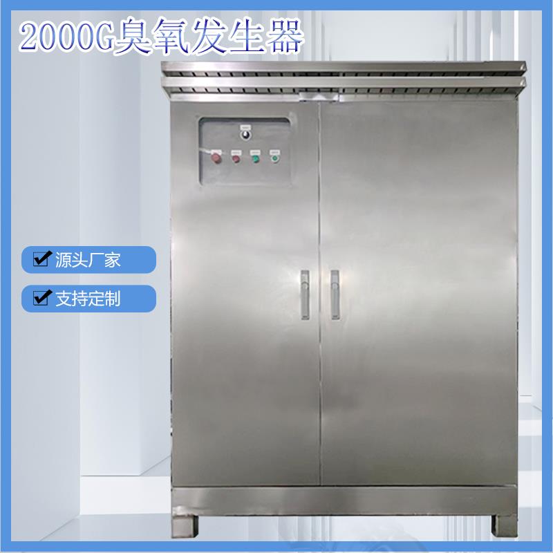 2000G臭氧发生器 杀菌设备水产养殖食品厂空间废气处理臭氧消毒机