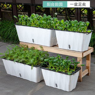 懒人自动吸水种菜盆家庭阳台盆栽花盆神器种菜长方形种植箱蔬菜