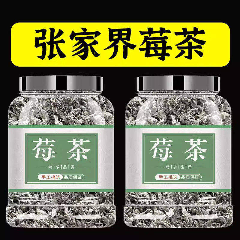 张家界莓茶龙须芽尖霉野生