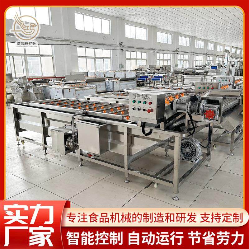 多功能圣女果浸泡清洗机连续式蓝莓洗果机商用柚子气泡清洗机,清洗/食品/商业设备,其他食品加工设备,淘宝优惠券,粉丝福利购,淘宝优惠卷