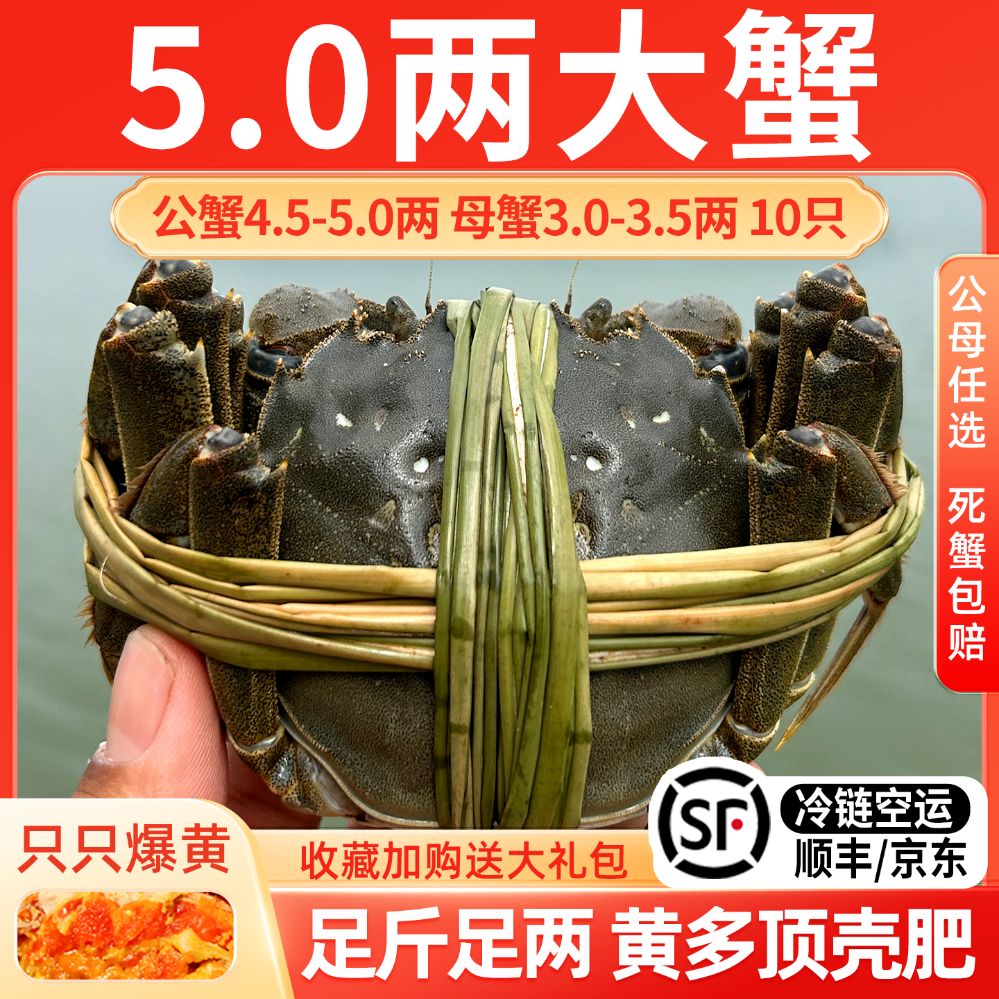 【活蟹】江苏大闸蟹鲜活螃蟹特大蟹5.0两精品全母蟹10只中秋礼盒