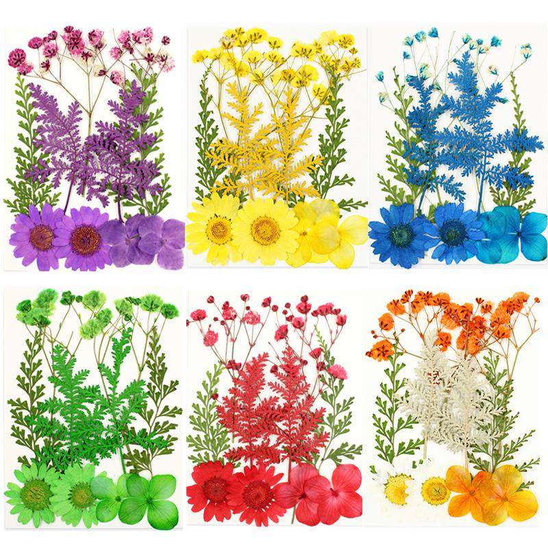 干花压花材料包 真花押花 Pressed Flower干花小包 花瓣妆贴脸妆