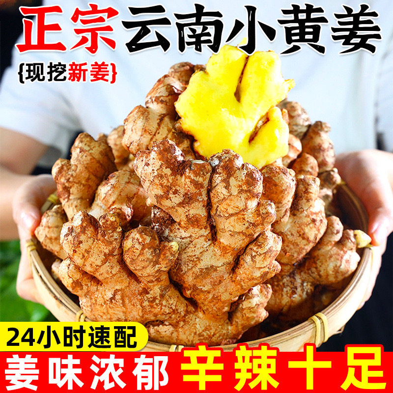 正宗云南小黄姜嫩姜鲜姜辛辣
