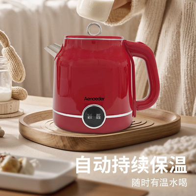 Aenaeder艾纳迪2L烧水壶复古高端食品级不锈钢双层保温电热烧水壶