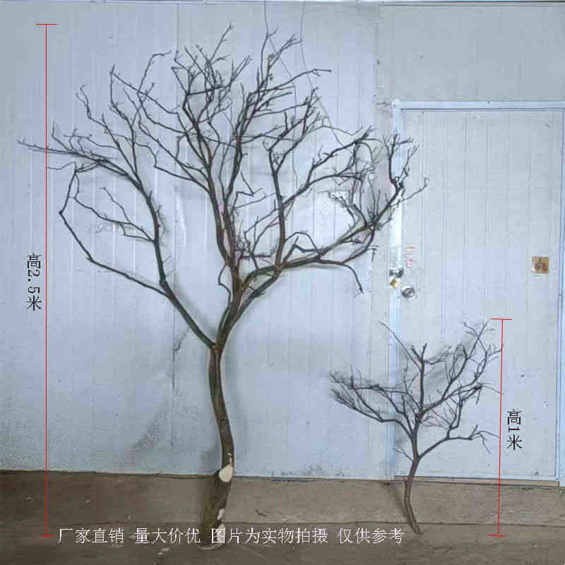 树枝树干装饰造景原木枯枝装饰酒店设计吊灯墙壁酒店婚庆道具摆件图片