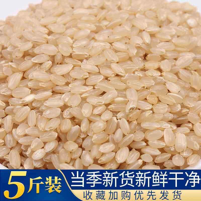 新米东北糙米5斤10斤实惠装玄米农家发芽米健身炒米五谷杂粮包邮