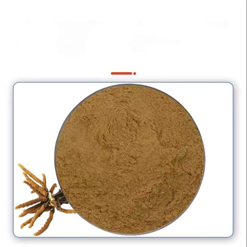 食品级虫草提取物浓缩粉虫草多糖30%免煎粉100g虫草精华粉散装