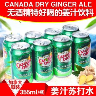 包邮 Ale 加拿大Canada Ginger 姜汁汽水干生姜水饮料8罐装 dry