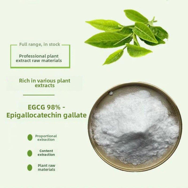 绿茶提取物EGCG98%表没食子儿茶素没食子酸酯儿茶素物 正品包邮