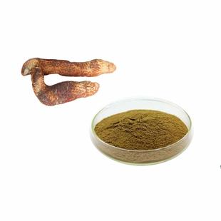 食品级肉苁蓉提取物30%松果菊苷浓缩粉 精华粉 散装现货 赠送量勺