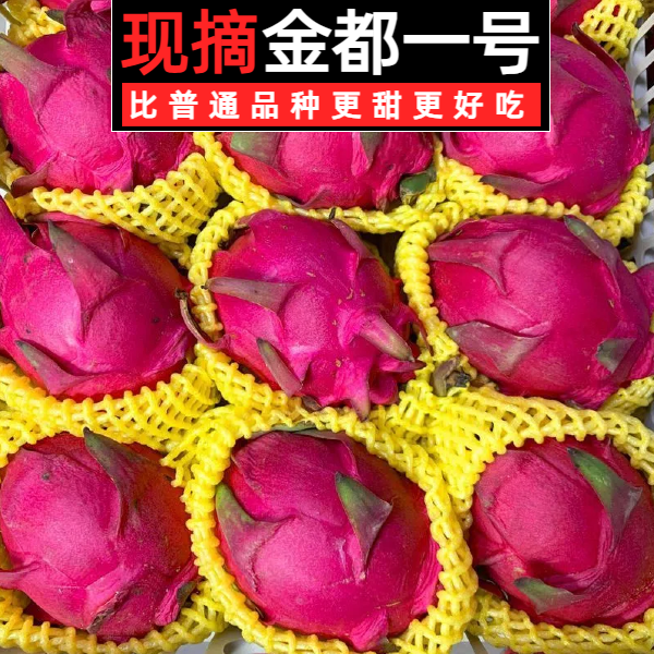 广西金都一号红心火龙果