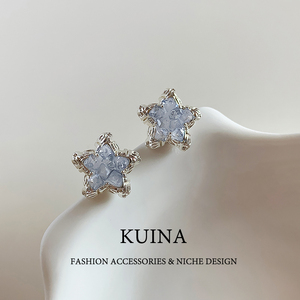 蓝色星星耳钉女纯银针水晶耳环2026新爆款高级感小众独特气质耳饰