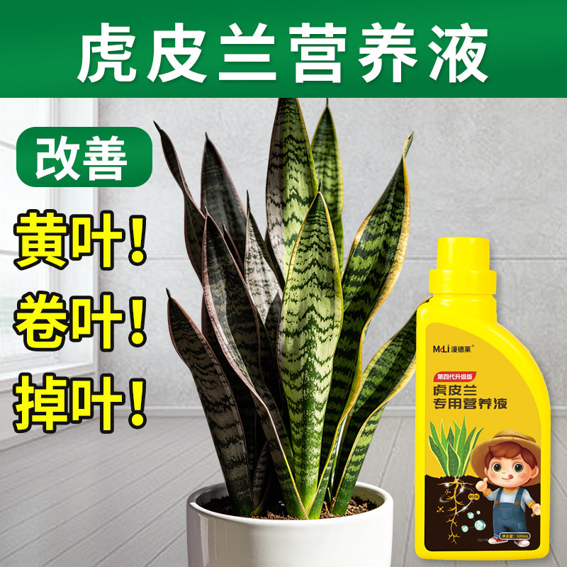 虎皮兰营养液专用肥料改善黄叶卷叶掉叶植物盆栽无机肥绿植通用型