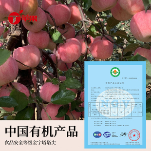 丁苹果有机红富士微瑕疤痕果烟台苹果自然成熟脆甜多汁有机认证