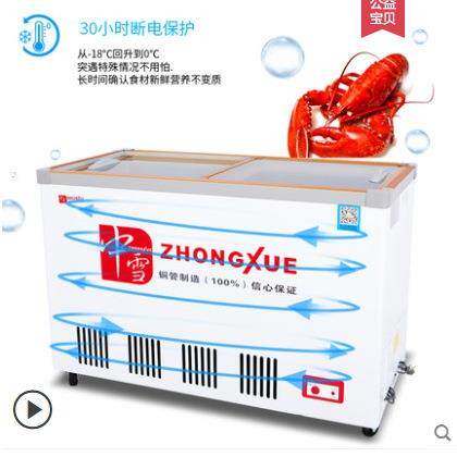 中SC/SD-18雪卧冰式冰柜示速冻商用冷柜单温门箱冷藏保鲜冷冻展柜
