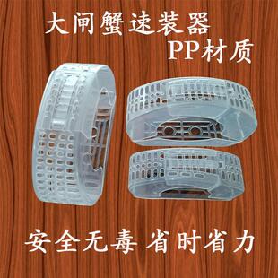 大闸蟹速装器螃蟹速装器河蟹卡扣免捆紮装大闸蟹速装盒绑蟹绳子