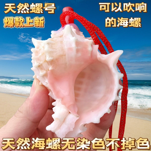 天然螺吹小螺号倾听大海声红骨螺贝壳口哨儿童玩具礼物工艺品挂饰
