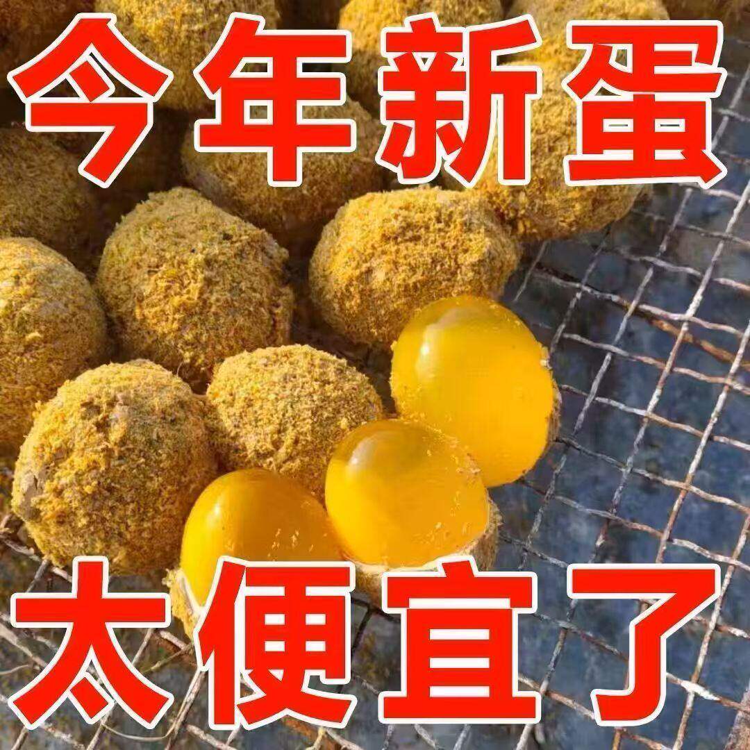 正宗河南变蛋无铅皮蛋10枚装溏心流油松花蛋即食家乡味道特产