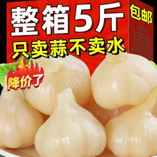 净重无水真空装腌制大蒜传统腌制正宗糖醋蒜头泡菜同味款糖蒜泡菜