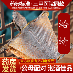 中药材批发官方正品 蛤蚧干货大蛤蚧一对公母泡酒中药饮片旗舰店