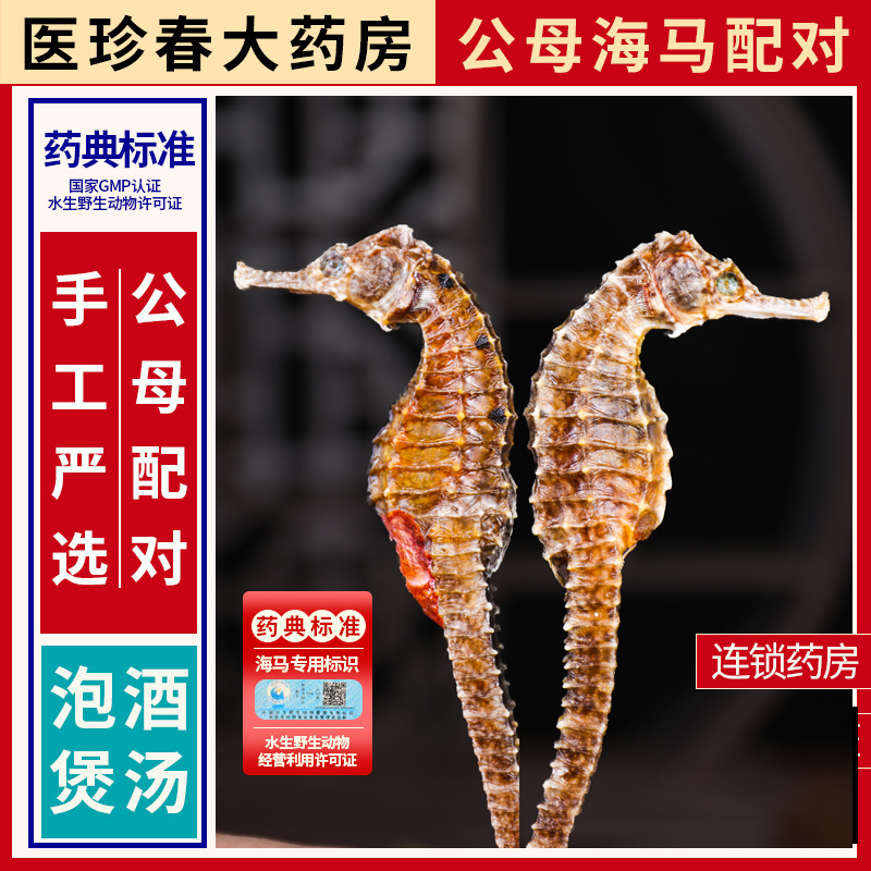 中药材批发正品大海马泡酒煲汤