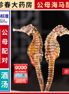 中药材三斑海马干货泡酒海龙大海马饮片煲汤料配对公母官方旗舰店