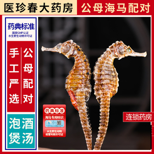 中药材三斑海马干货泡酒海龙大海马饮片煲汤料配对公母官方旗舰店