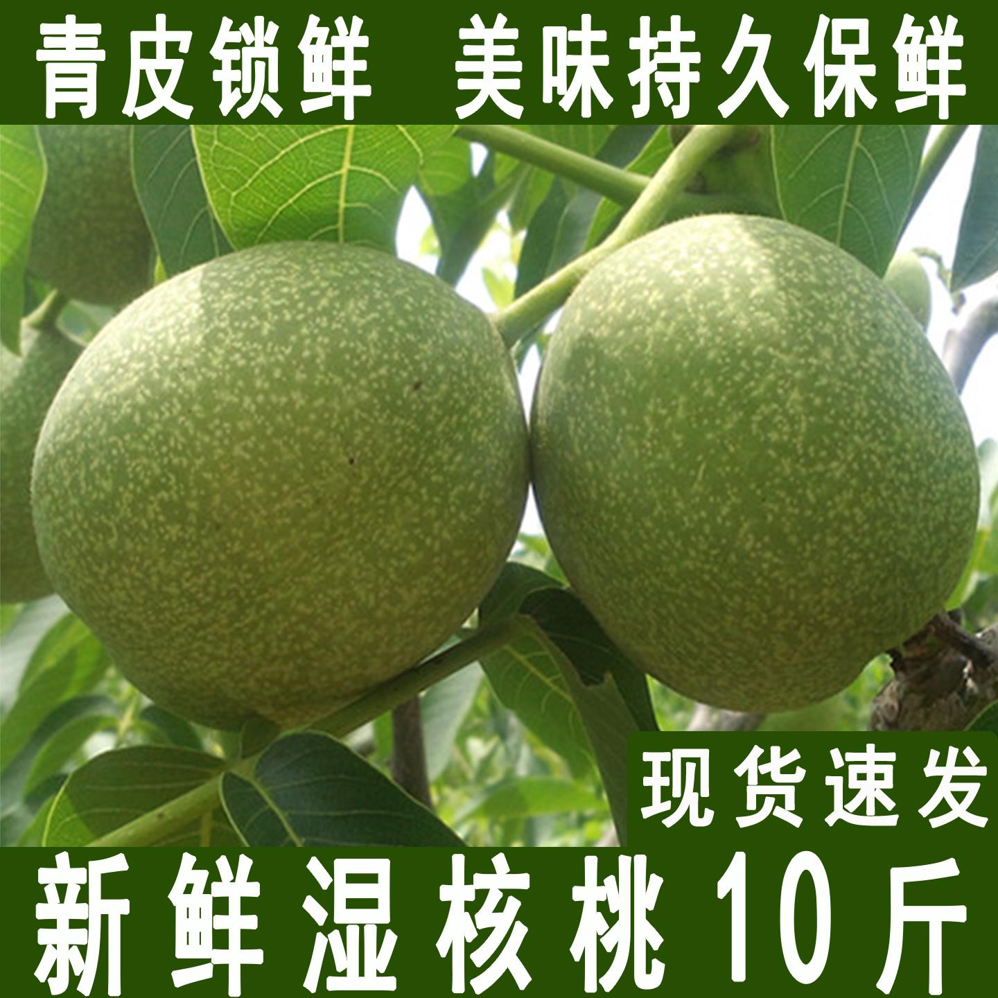 2025新鲜核桃去青皮湿嫩生核桃现摘绿薄皮核桃仁孕妇专用黑桃整箱