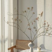 山归来植物干树枝天然卧室客厅装 饰高级宿舍餐厅桌面烘干摄影婚房