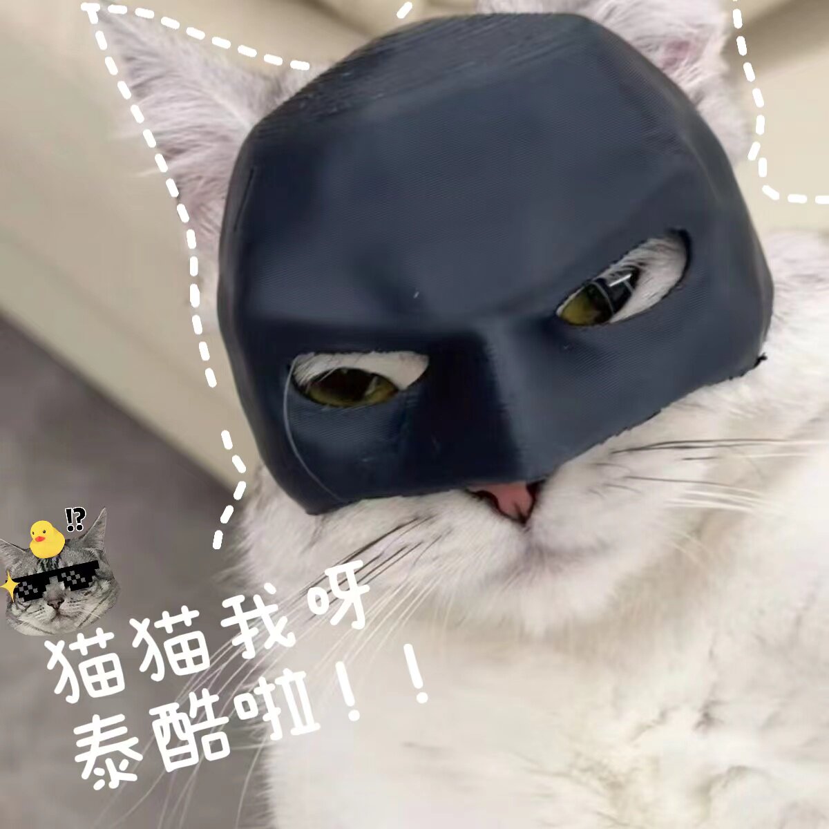 猫咪宠物面具A蝙蝠侠装饰半脸COS道具不在是凡猫头盔帅气