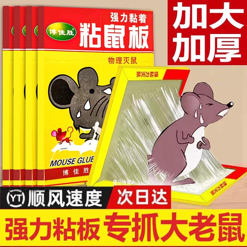 超强力粘鼠板捉粘大老鼠贴沾胶抓灭鼠老鼠贴超强杀鼠家用捕鼠神器
