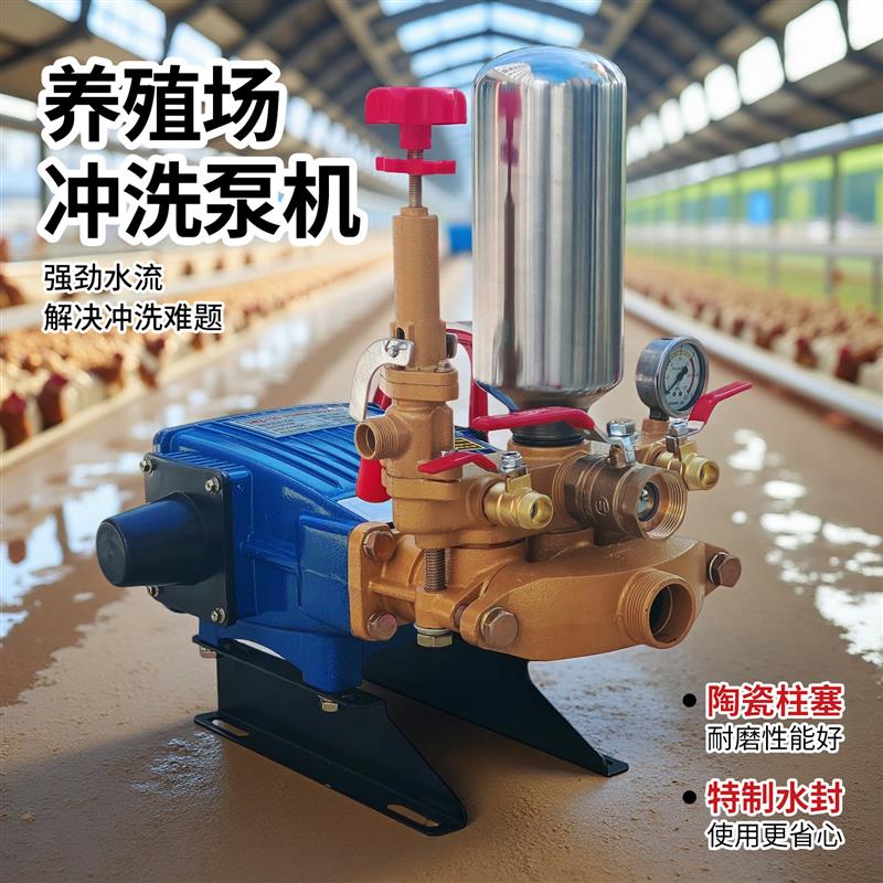 养殖场专用大流量三缸柱塞泵高压清洗消毒机渔业渔网强力冲洗设备