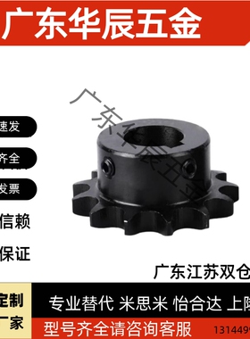 链轮SP40B10/11/12/13/14/15/16/17/18/19/20/21/22-N12/15/16/20