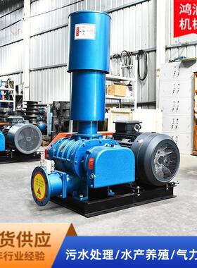 三叶罗茨风扇鼓风机定制小型增氧泵SR65密集型高压罗茨风机