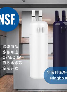 工厂发货 Z001 W10295370A过滤器活性炭滤芯 冰箱滤芯配件