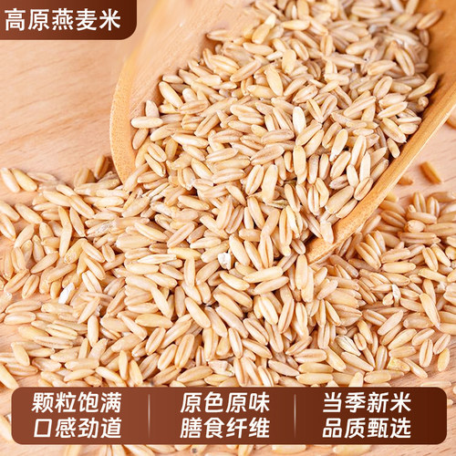 内蒙古全胚芽燕麦米原粒新鲜