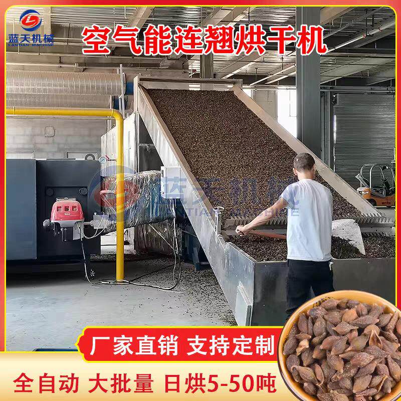 连翘清洗杀青烘干生产线大型网带青翘老翘烘干机连翘蒸煮杀青机