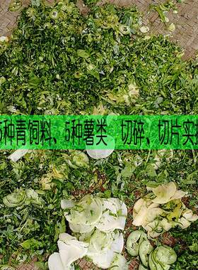 A12切草机碎草机养殖家用小型打猪草机器切猪食机菜叶玉米秸秆